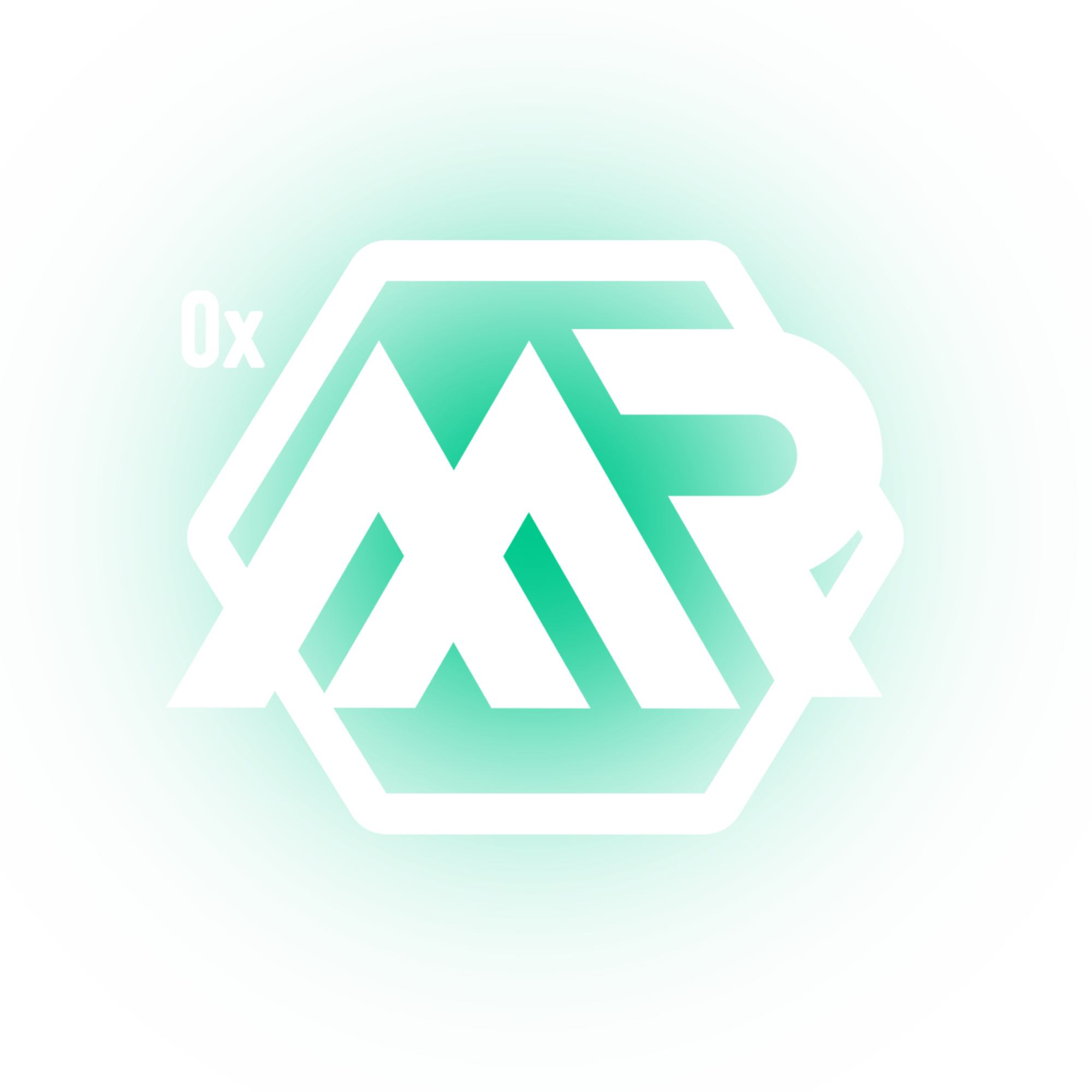 0xAmr logo